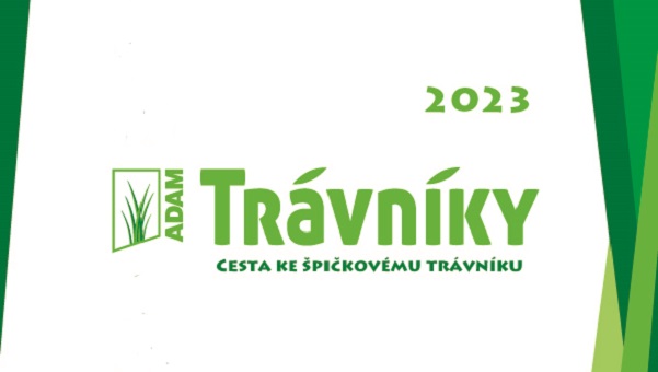 blog-image